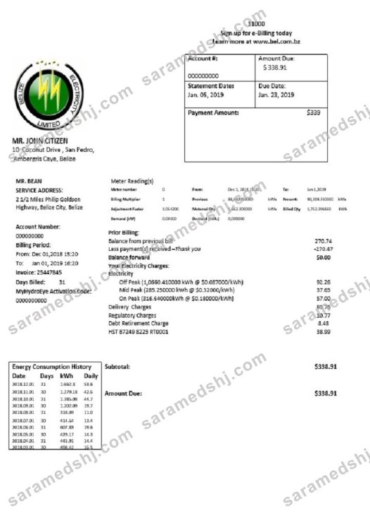 Belize Electricity Limited electricity utility bill template in Word and PDF format